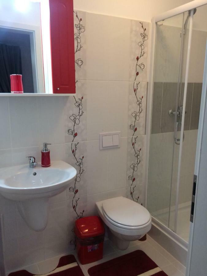 Apartament De Inchiriat Olimpic Rezidence ブラショフ エクステリア 写真