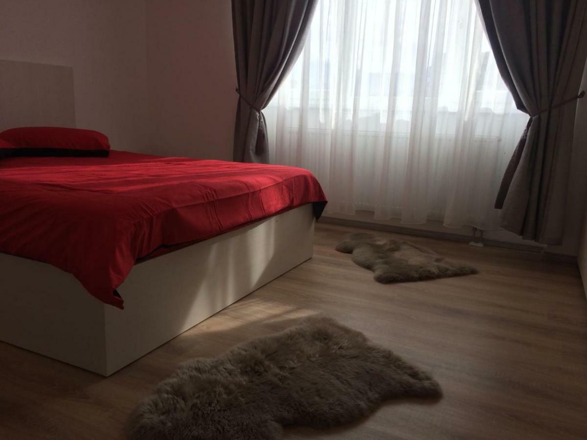 Apartament De Inchiriat Olimpic Rezidence ブラショフ エクステリア 写真